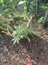 20250620_180418.jpg 20250620_180418.jpg
