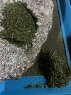 IMG_0283.jpeg