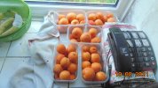 DSC03791.JPG