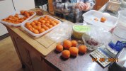 DSC03790.JPG