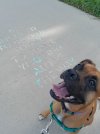 20250624_082057.jpg