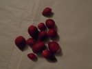 DSC03220.JPG