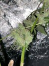 IMG_0319.jpeg