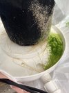 IMG_0321.jpeg