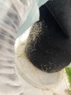 IMG_0322.jpeg