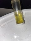 IMG_0328.jpeg