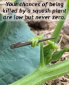 1750913718584.png
