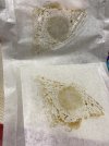 IMG_0339.jpeg