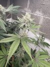 IMG_5825.jpeg