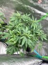 IMG_0344.jpeg