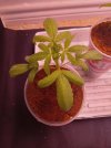 20250627_115056.jpg