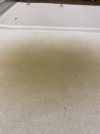 IMG_3628.jpeg
