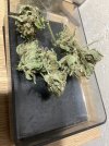 IMG_0353.jpeg