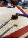 IMG_0351.jpeg