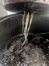 Day 17 Roots (19 June).jpg
