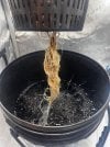 Day 25 Roots (27 June).jpg