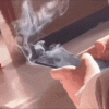 IMG_0906.gif