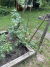IMG_5400.jpeg