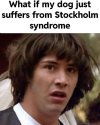 IMG_8743.jpeg