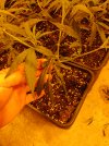 20250630_003137.jpg