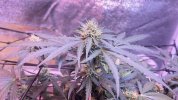 IMG_6854.jpeg