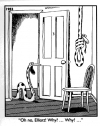 1751333920405.png