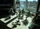 IMG_4553.JPG
