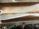 IMG_0388.jpeg