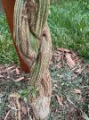 IMG_2342.jpeg