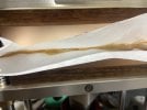 IMG_0388.jpeg