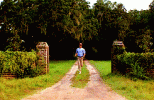 IMG_0967.gif