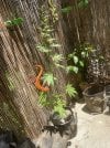 IMG_2992.jpeg