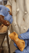 choco-finger-chocolate.gif