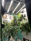 IMG_0262.jpeg
