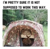 1751655462599.png