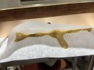 IMG_0453.jpeg