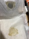 IMG_0462.jpeg