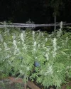IMG_20240924_214254_130.webp