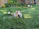 IMG_2372.jpeg