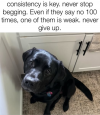 1751929157504.png