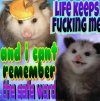 IMG_8685.jpeg