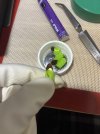 IMG_0487.jpeg