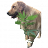 1752148238627.png