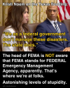 1752177519593.png