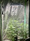 IMG_1081.jpeg