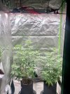 IMG_1079.jpeg