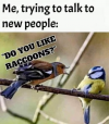 1752184233416.png