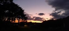 20250702_224537.jpg