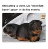1752243868036.png