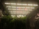 20250712_185229.jpg